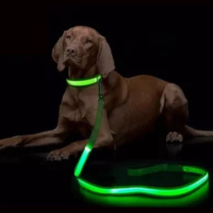 Guinzaglio luminoso per cani