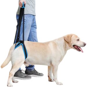 Guinzaglio per cani disabili